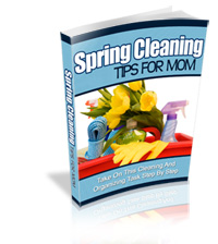 Spring Cleaning Tips